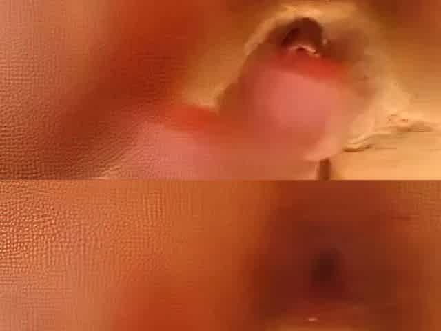 Up-close Anal Play with Dildo and Fingers