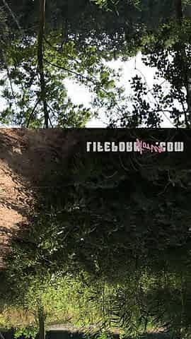Life Porn Stories 8 - Part 6 Walking the Pussy - Outdoor Slut Goes Wild