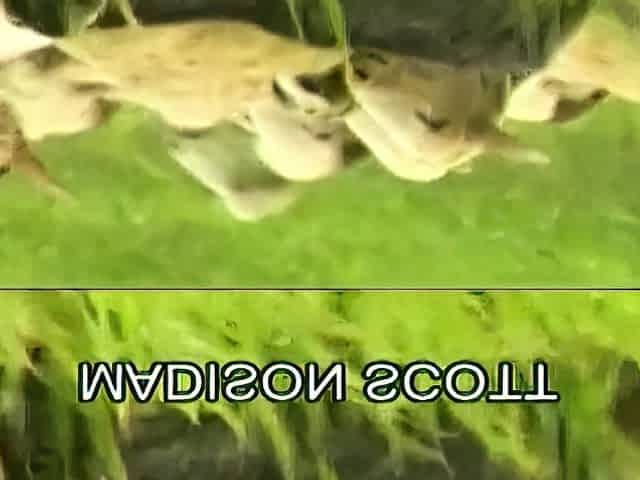 Hot amateur close up hardcore HD video