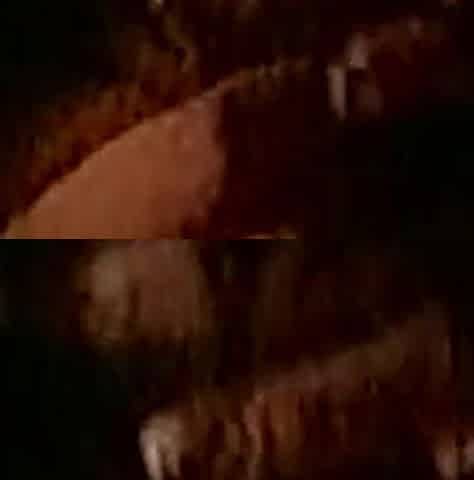 Retro Porn Anal Sex with Sexy Brunette