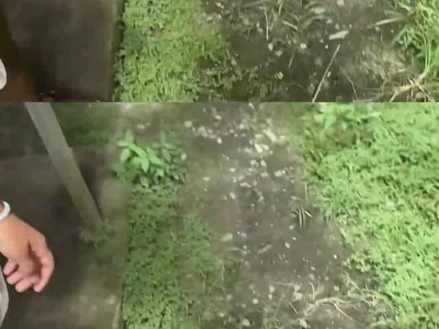 Spicy whore incredible adult video