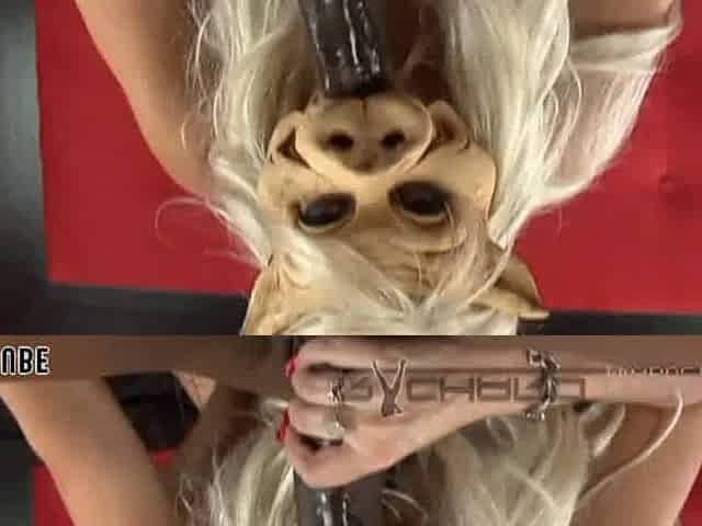 Black Meat Lover Raven Black