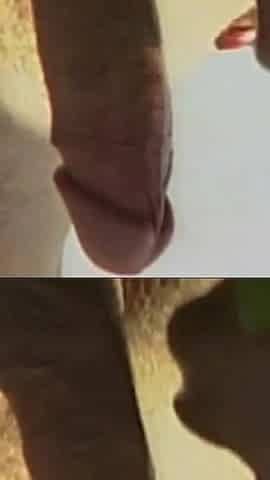 The Wind and the Sea for a Wild Interracial Anal Experience