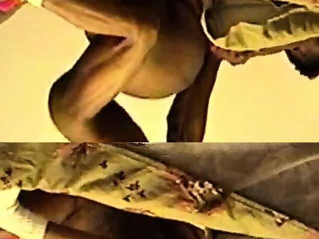 Miss Angel Interracial Anal Adventure with a BBW