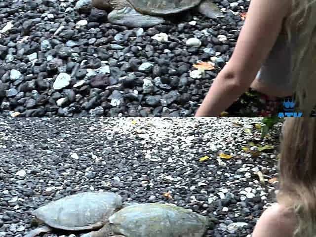 Sexy euro public amateur masturbates outdoors in hd