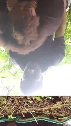 Banging youthful thick large ass black wench out in public