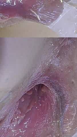 Very Close Spread Pussy Fucking with Dildo and Glass