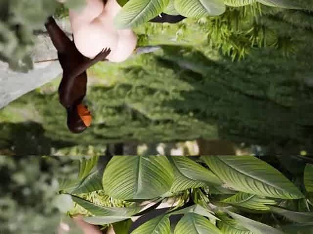 jungle interracial porn