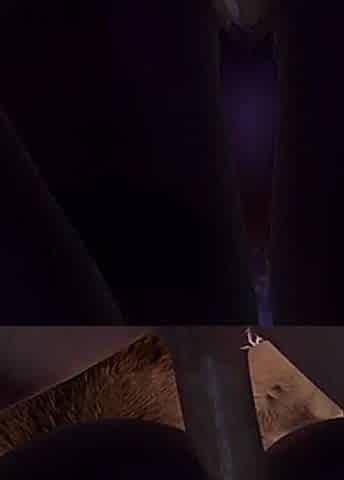 Night Elf Reverse Cowgirl in POV - 3D Porn