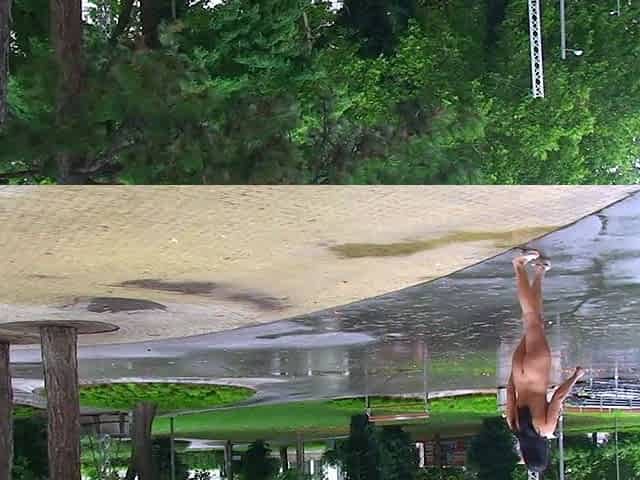 Amateur teen outdoor blowjob