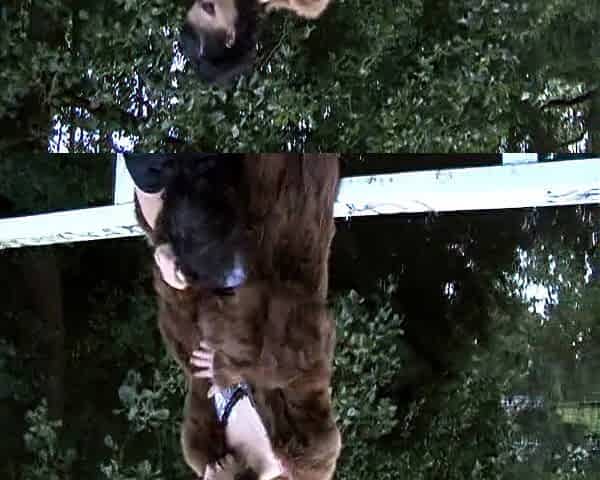 Sexy brunette has sex in fur coats outdoors