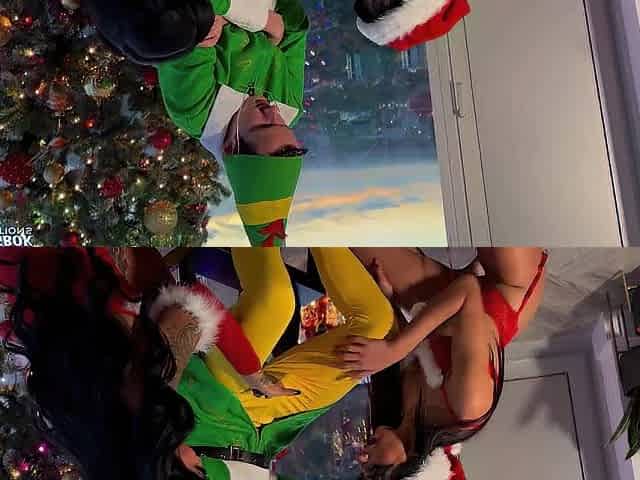 Wicked Elf Caught Stealing Christmas Gifts