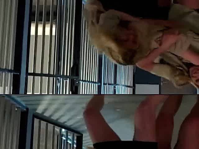 Vagina Stretching in Prison