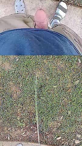 Backyard Risky Pissing