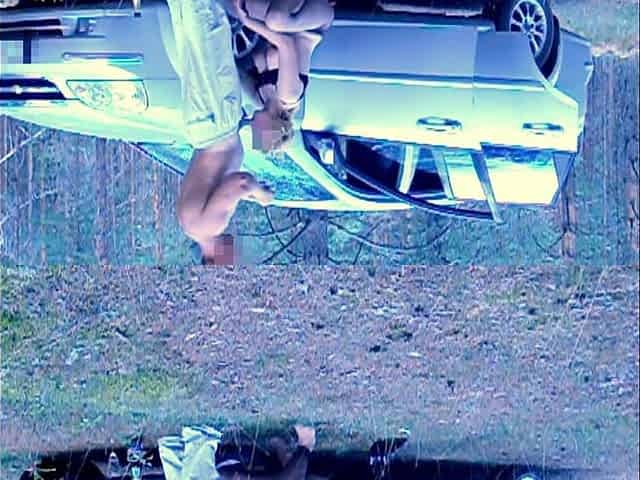 Sex Holiday in Forest