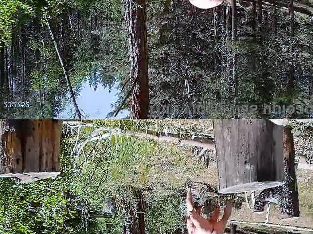 Simscristian05 - update #638 - IN NATURE'S GARB WALK IN THE FOREST - SHEER - Jun 10, 2026