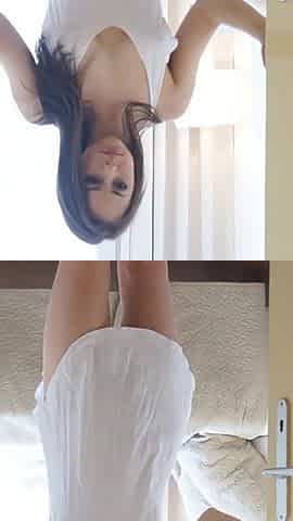 Solo Shy