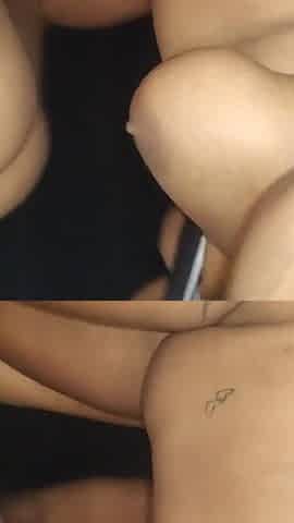 2 Out of Stock Latina Puppies