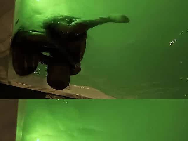 Xeinna Rose and Jay Playhard Have a fun a Hawt Pool Day Bang