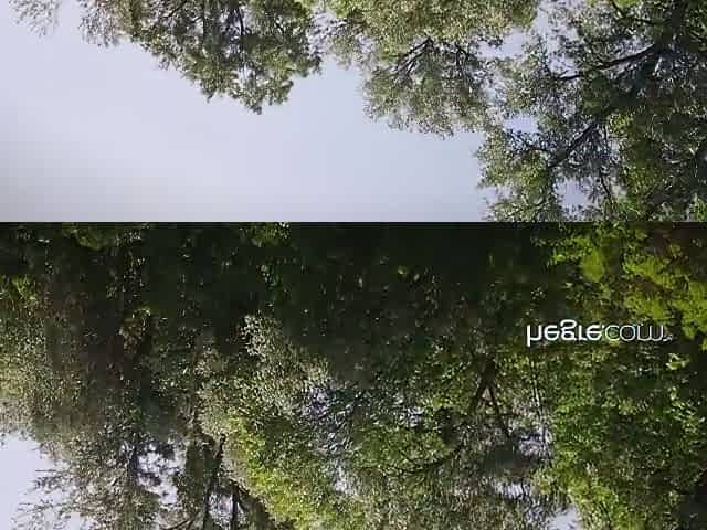 Exotic Porn Video Big Tits , Check It