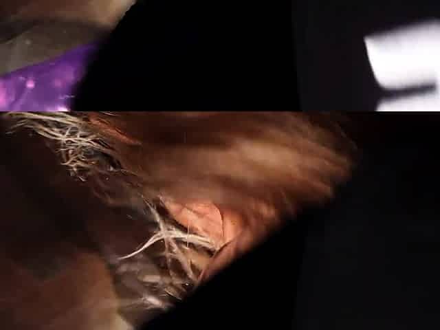 Monika Fox Anal Rides On Gigant Dildo With Big Prolapse &