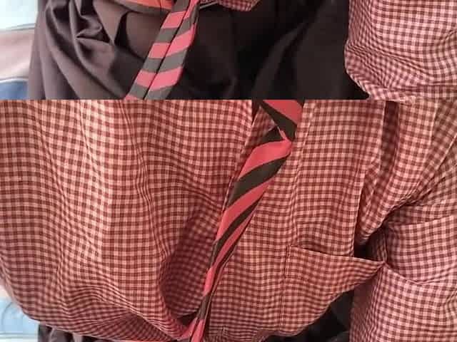 Desi Village College Teen Girl Video