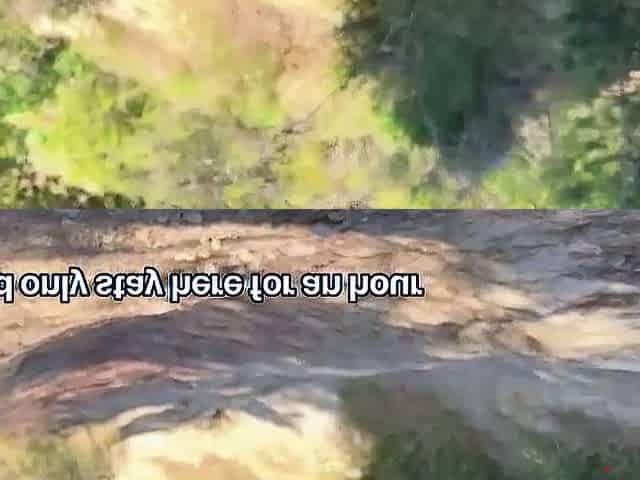 Fucking a stranger in a secret forest passage led to