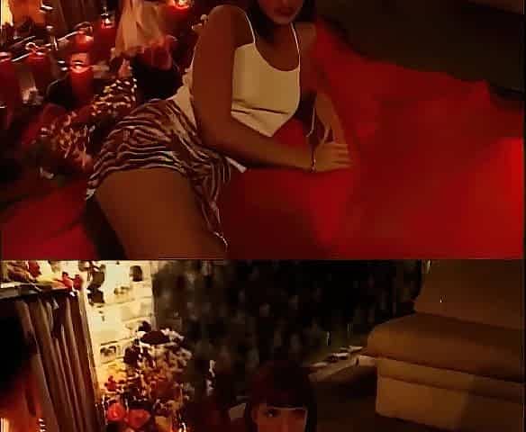 American Avid Sex