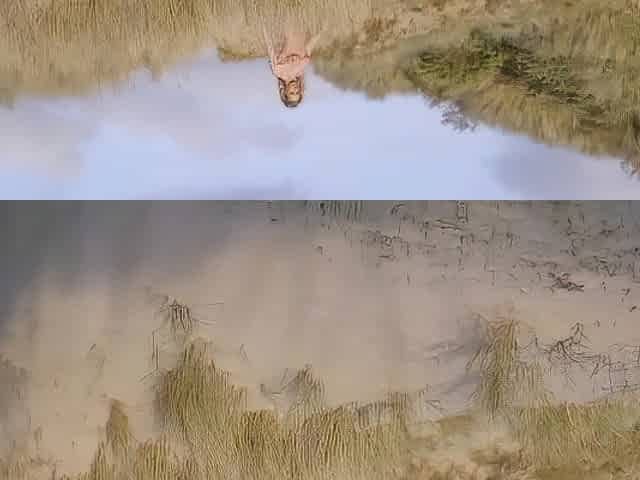 Goldykim beach play