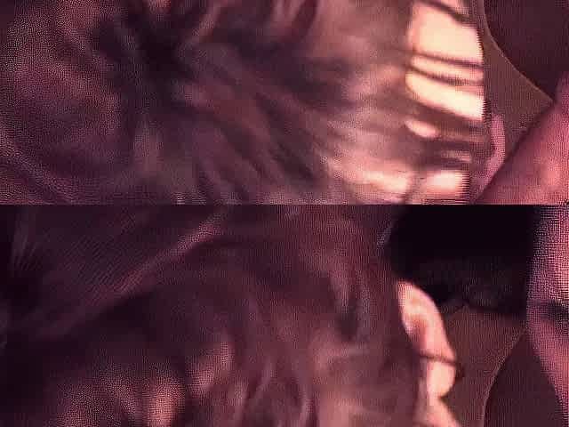 Amateur Asian Japanese Anal Creampie