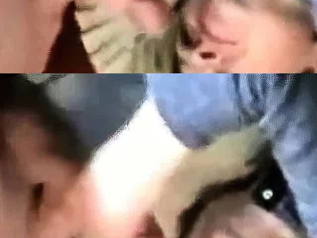 Office Blowjob and Cum Swallow by Amateur Girl