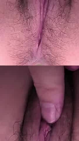 Asian Angel 24637