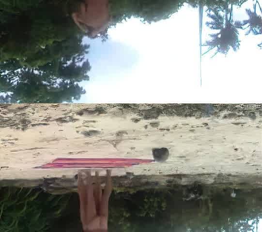 Beach Love Motion: Outdoor Amateur Fun