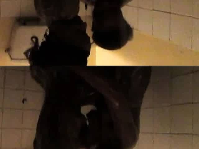 Big Ass Ebony Lesbians Fingering Pussy