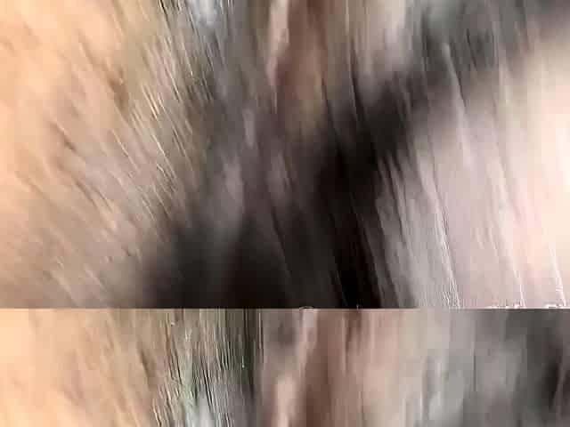 Amateur girlfriend gives blowjob with facial cumshot