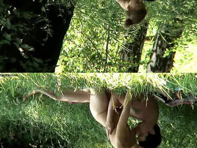 Couple fucks at the forest (real voyeur)