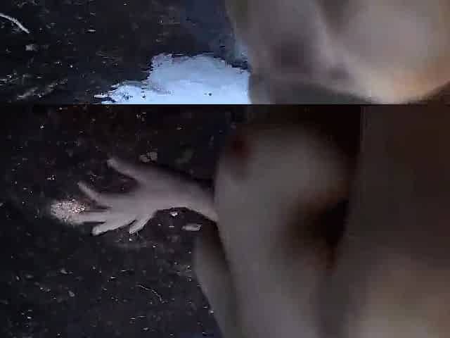 Cute College Gals Drilled Outside