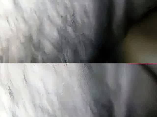 Indian Cuckold Husband Records His Girl with Her Lover