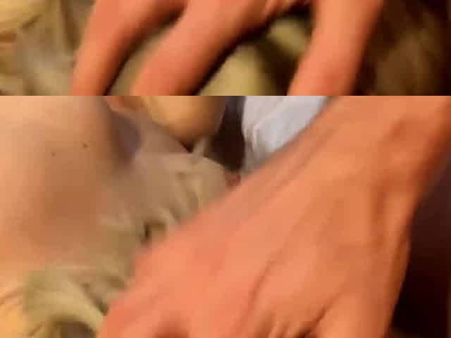 only-cumshot-