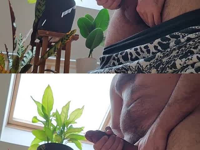 Solo masturbation / cumshots compilation