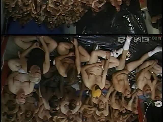 Zarina would like to eat all the loads of this planet!