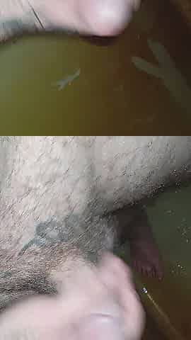 Who would take this penis
