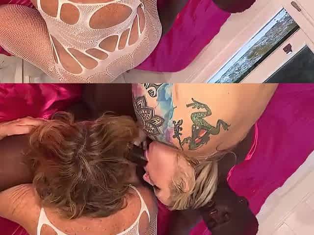 LEWD DIVORCEES NEED EBONY SHLONG
