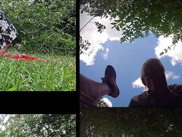 Pastel & Rex Fuck in the Meadow