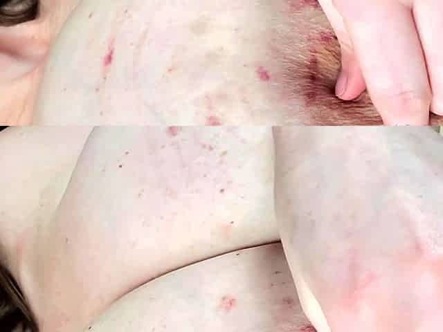 Amateur solo jock jerks his throbbing cock