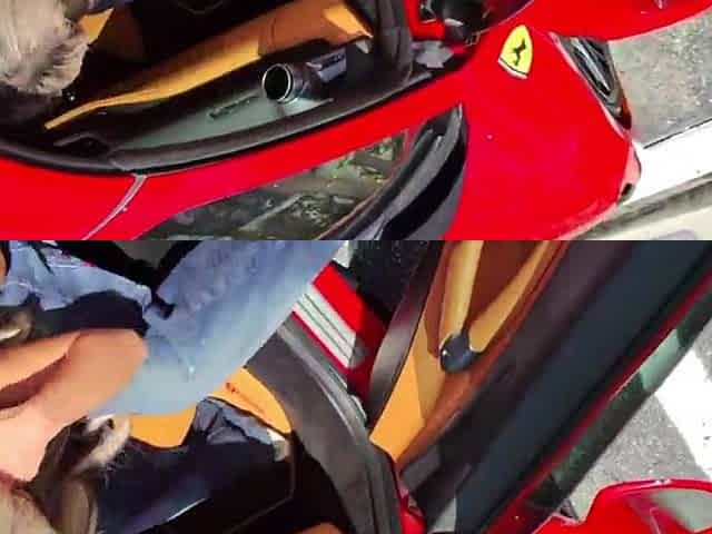 Real Gas Station Pick Up Valuable Butt Luna Luxe Gets Banged on Teddy Tarantino's Ferrari