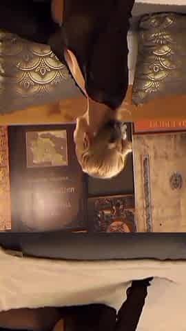 Amateur Blonde Mature Wife Enjoys Sex After Walking