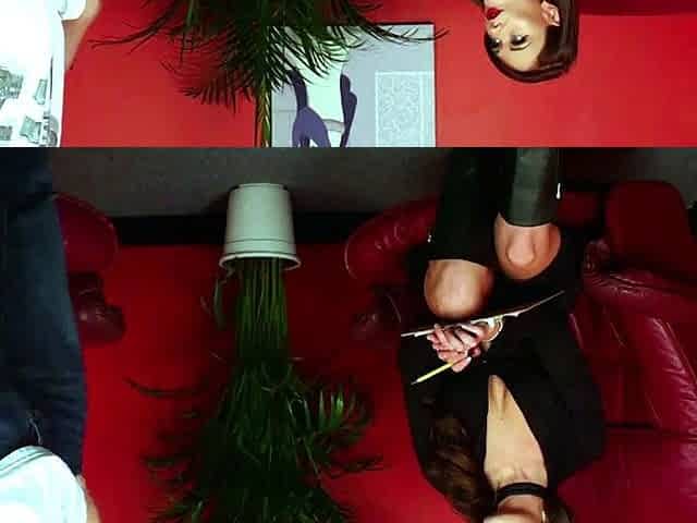 Posh lady voyeur judging guys handjob