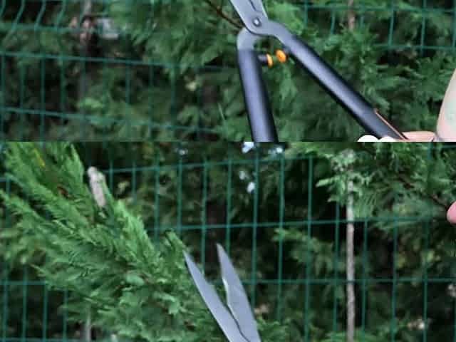 Sharing the gardener's cock with my friend