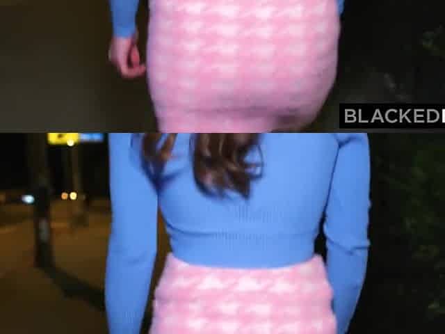 Aria Lee - Search For The Big Black Frankfurter - Solution By